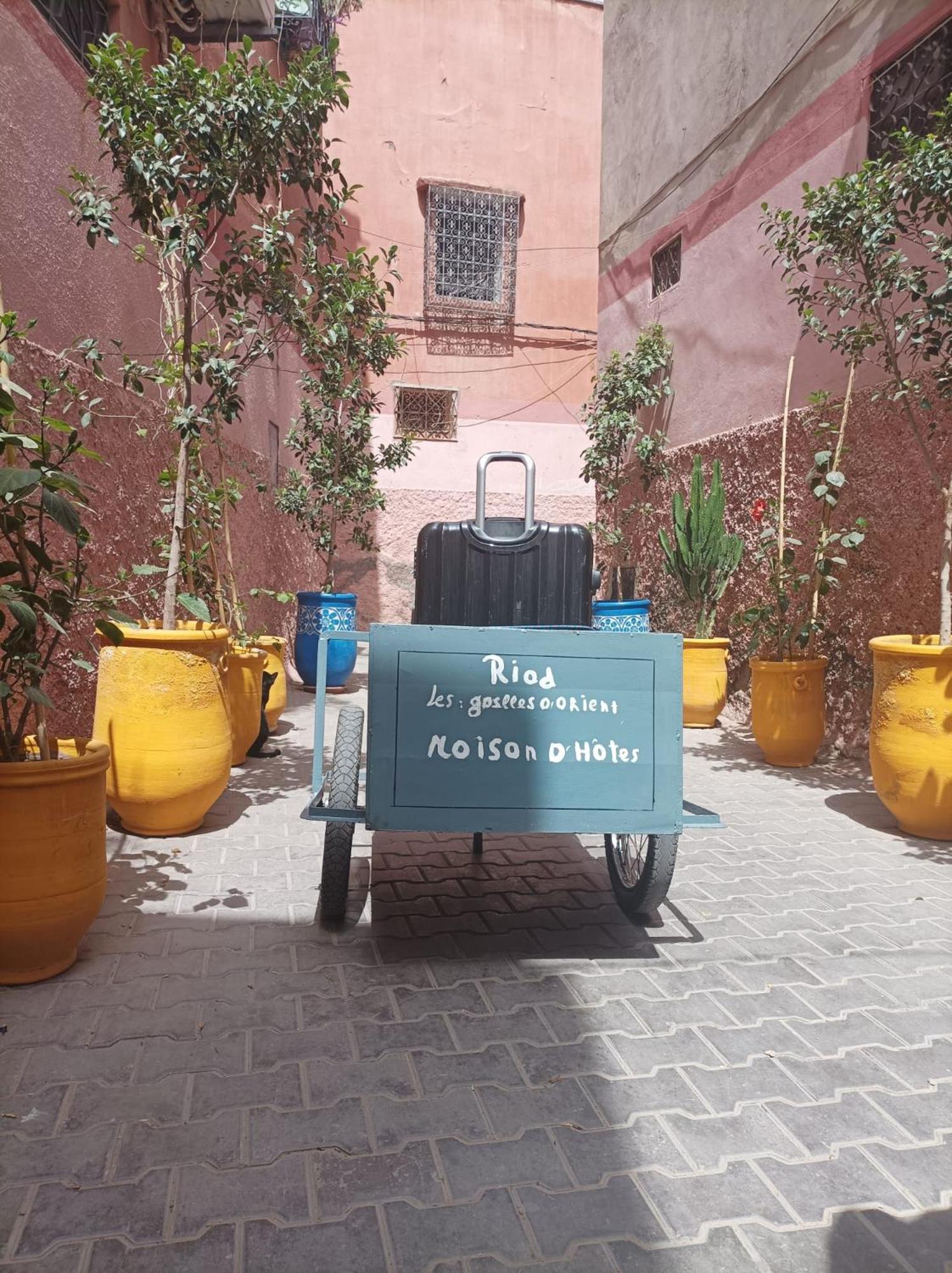Riad Les Gazelles D'Orient Marrakech Марракеш Экстерьер фото